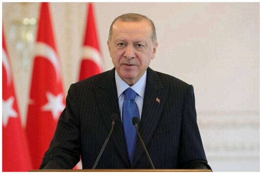 فوز أردوغان: نجاح استراتيجية "التحوّط" الاستراتيجي   
