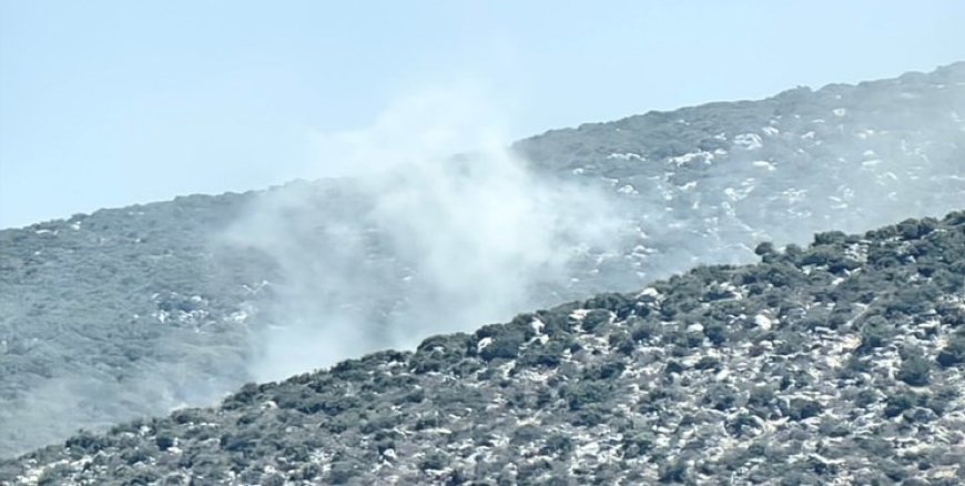 قصف صهيوني يستهدف المنطقة الواقعة بين كفرشوبا وكفرحمام جنوبي لبنان
