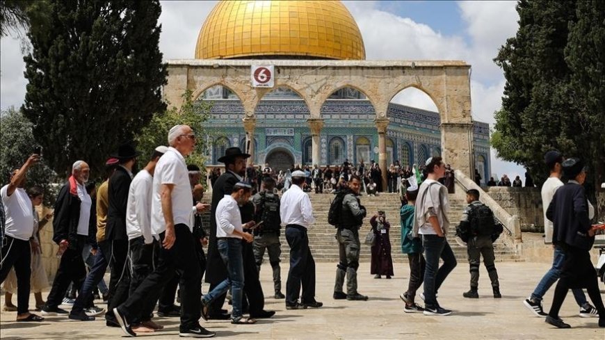 بحماية الاحتلال.. مئات المستوطنين الصهاينة يقتحمون المسجد الأقصى 