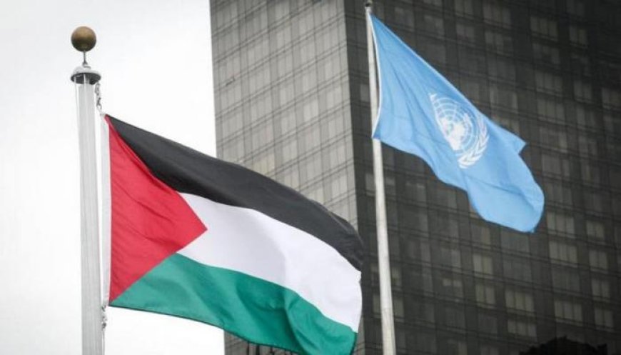 الأمم المتحدة عاجزة أمام حل الأزمة الفلسطينية!
