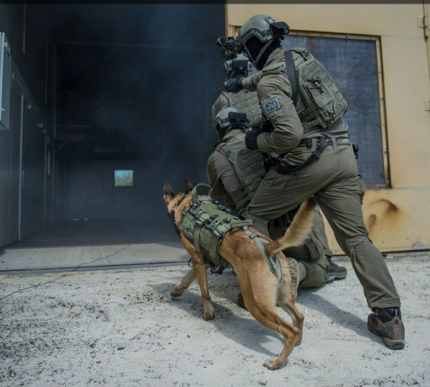 الاحتلال الصهيوني يستخدم كلابه البوليسية لترويع أهل غزة