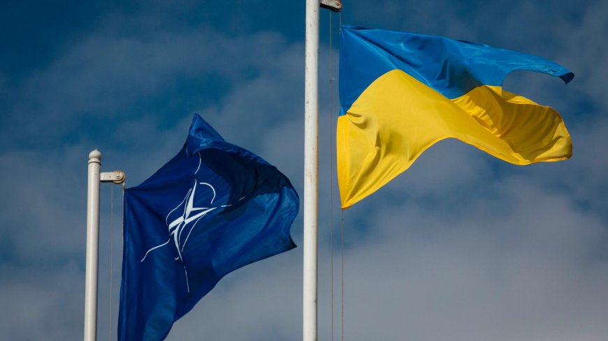 هل انضمام أوكرانيا إلى حلف شمال الأطلسي خطأ كبيرا؟