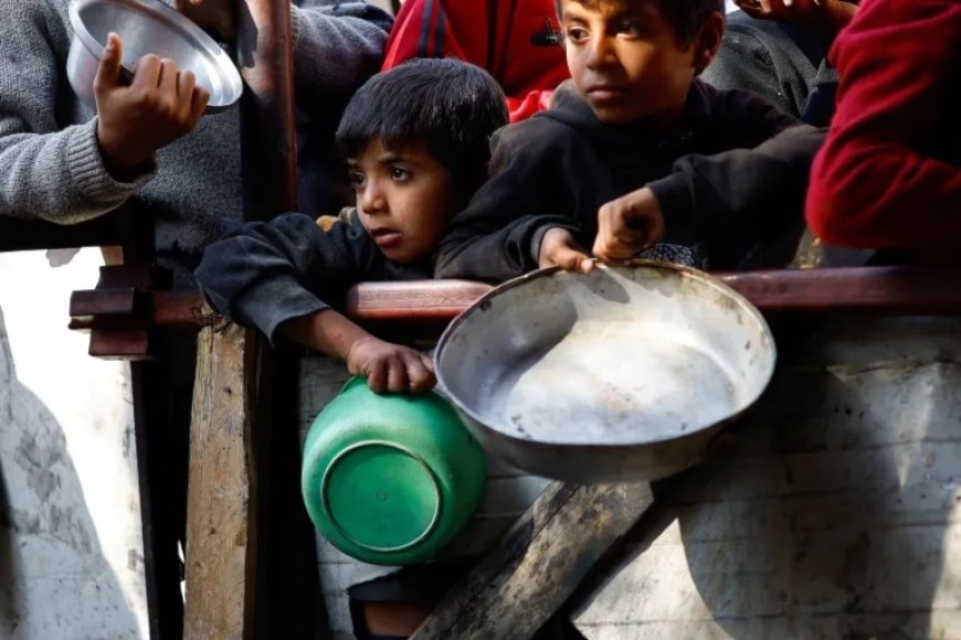 تقرير أممي حول الأزمات الغذائية للعام 2024: غزة باتت الأزمة الأولى عالمياً في وقت قصير