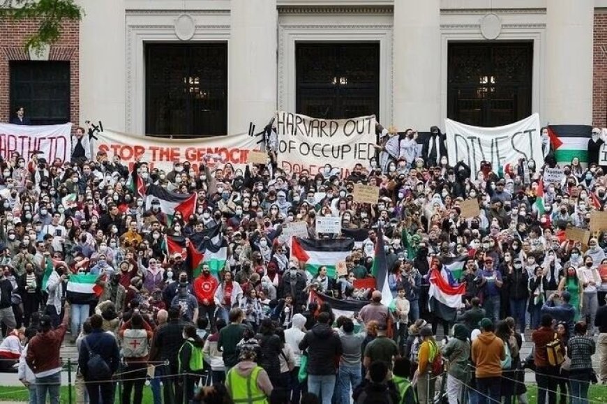 استطلاع يظهر رأي الطلاب الأمريكيين في الاحتجاجات الداعمة لغزة