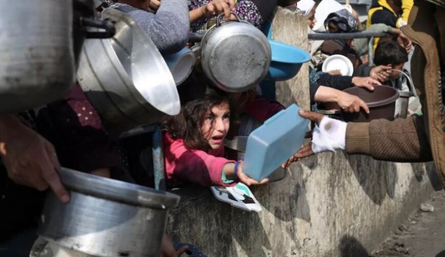 تحذير أممي من مستويات كارثية للجوع في غزة