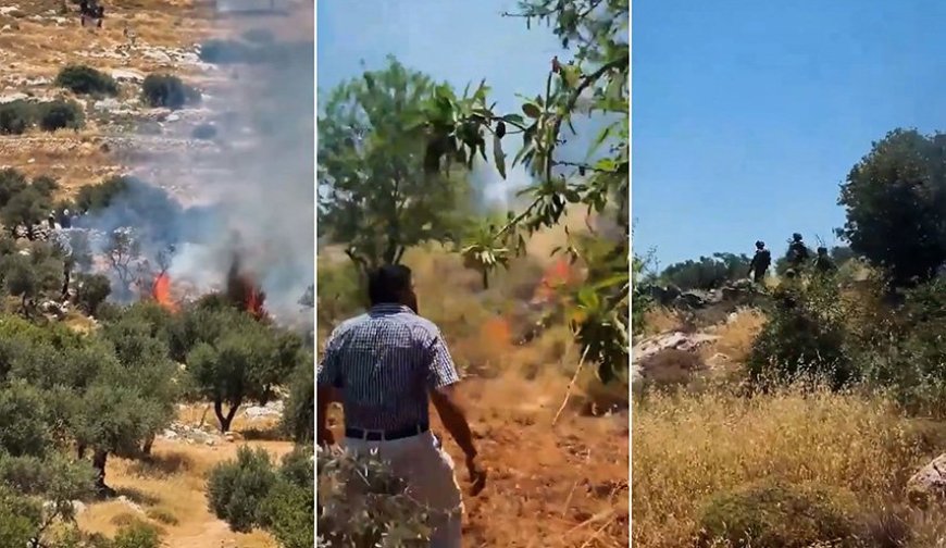 انتهاكات إسرائيلية في الضفة الغربية وإشعل النار في أراض زراعية